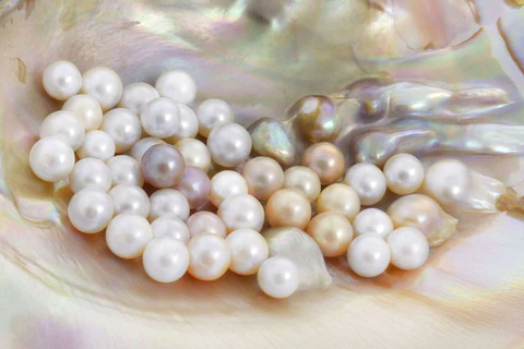 mother of pearl pearl