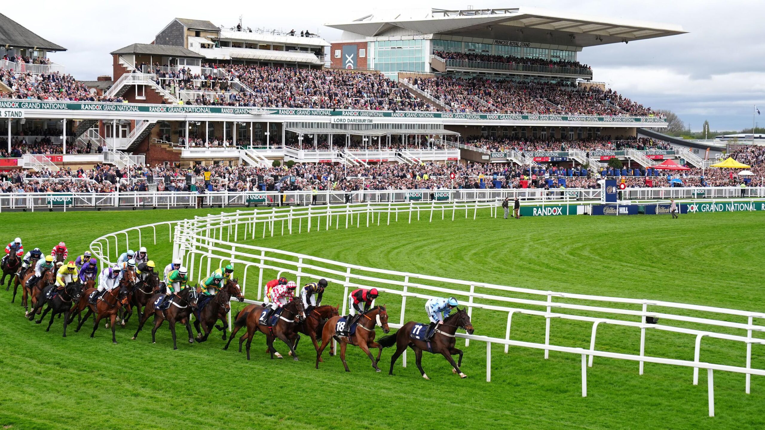 trips to grand national